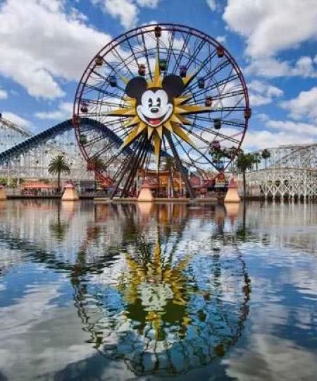 Best Family Vacations in the USA: Top Amusement Parks for Family Fun