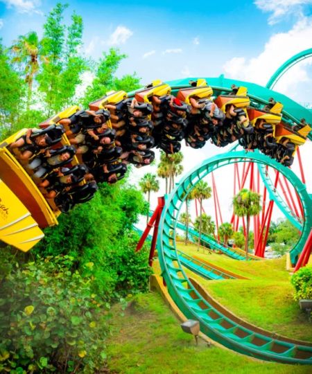 Family Activities to Do at Busch Gardens and SeaWorld: Ultimate Guide for Families