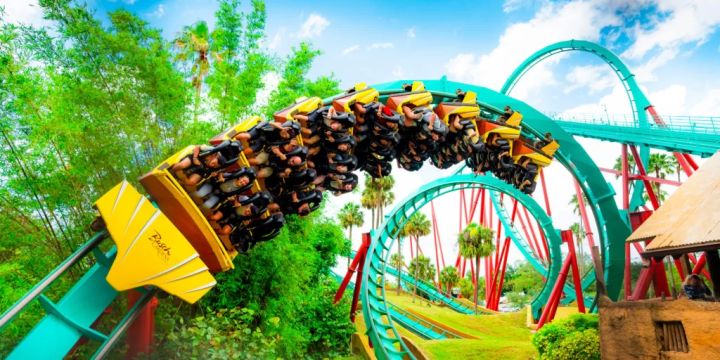 Family Activities to Do at Busch Gardens and SeaWorld: Ultimate Guide for Families