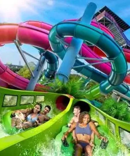 Best Theme Parks for a Summer Family Vacation in Florida – Top Amusement Parks for Family Fun