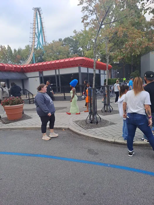 Six Flags 8