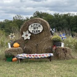 Little Bit Farm Corn Maze ico