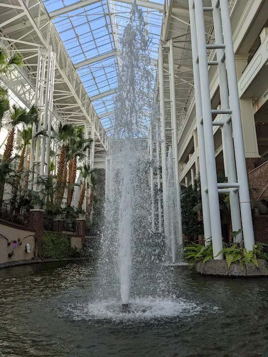 SoundWaves at Gaylord Opryland 6