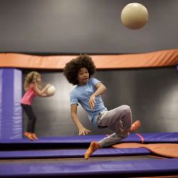 Sky Zone Trampoline Park ico