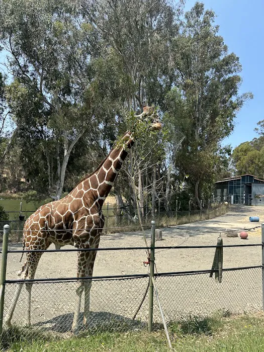 Six Flags Discovery Kingdom 8