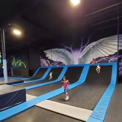 Sky Zone Trampoline Park ico