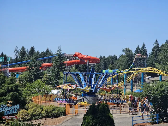 Wild Waves Theme and Water Park 6