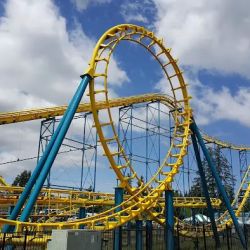 Wild Waves Theme and Water Park ico