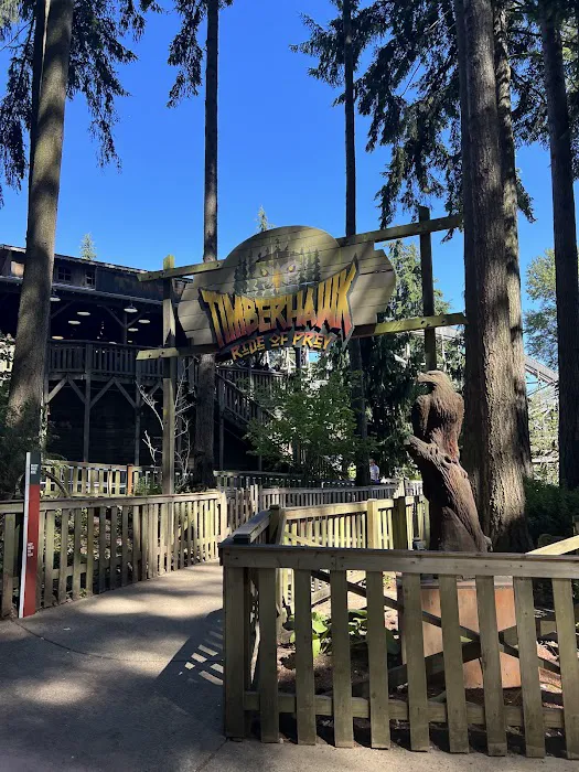 Wild Waves Theme and Water Park 3