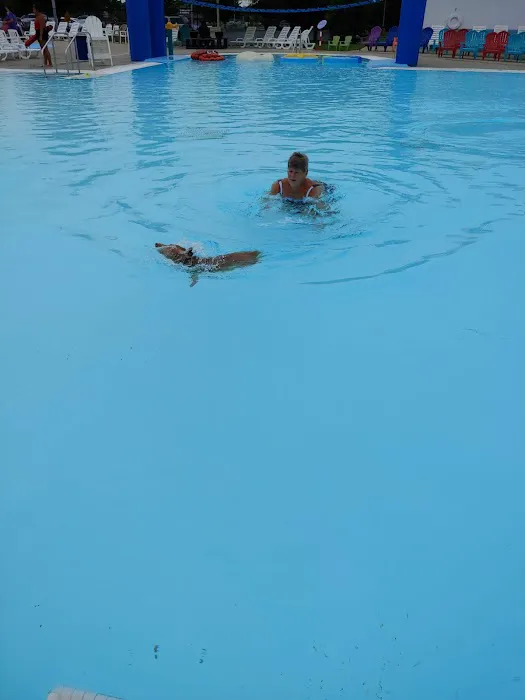 Calypso Cove Family Waterpark 6