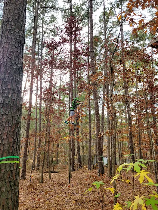 TreeRunner Adventure Park & Putt Forest 8
