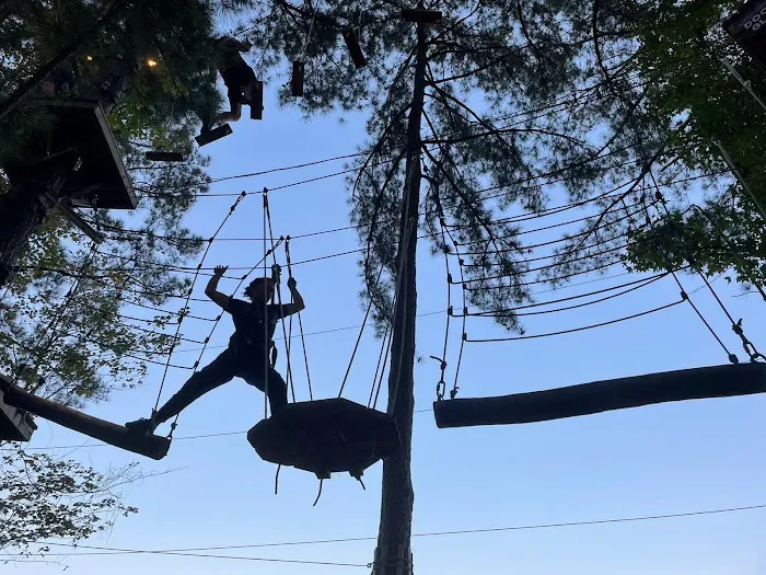 TreeRunner Adventure Park & Putt Forest 7
