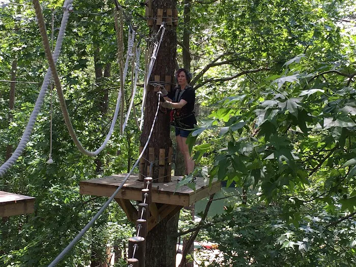 TreeRunner Adventure Park & Putt Forest 1