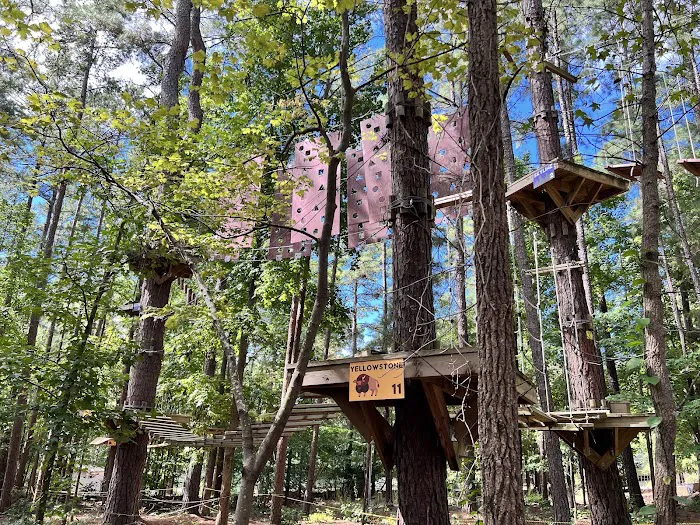TreeRunner Adventure Park & Putt Forest 0