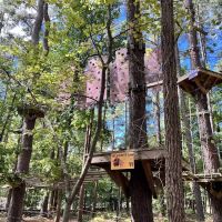 TreeRunner Adventure Park & Putt Forest
