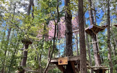TreeRunner Adventure Park & Putt Forest