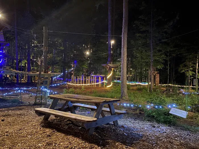 TreeRunner Adventure Park & Putt Forest 6