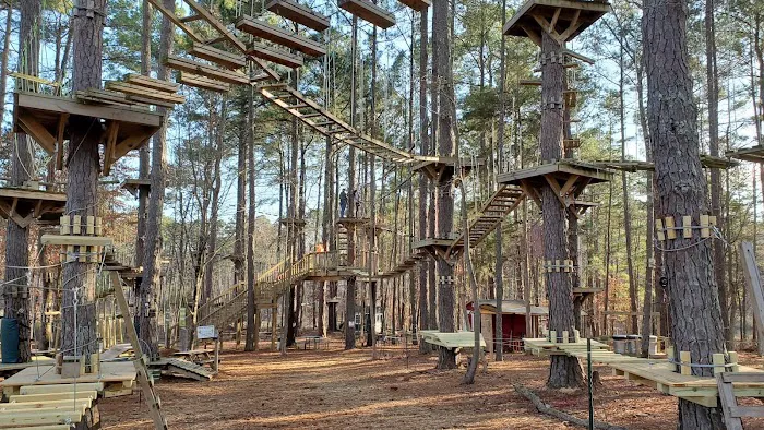 TreeRunner Adventure Park & Putt Forest 2