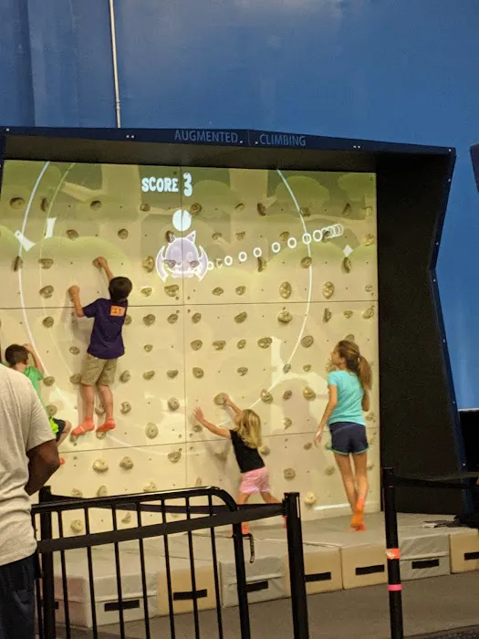 Sky Zone Trampoline Park 0