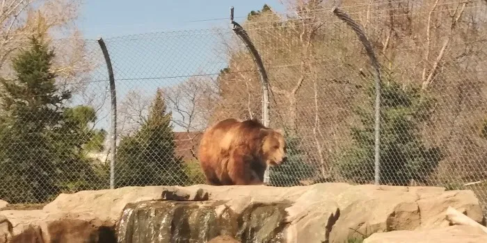 Lighthouse Point Splash Zone at Hogle Zoo 4