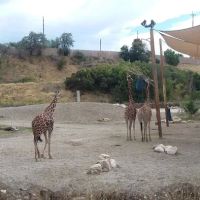 Lighthouse Point Splash Zone at Hogle Zoo