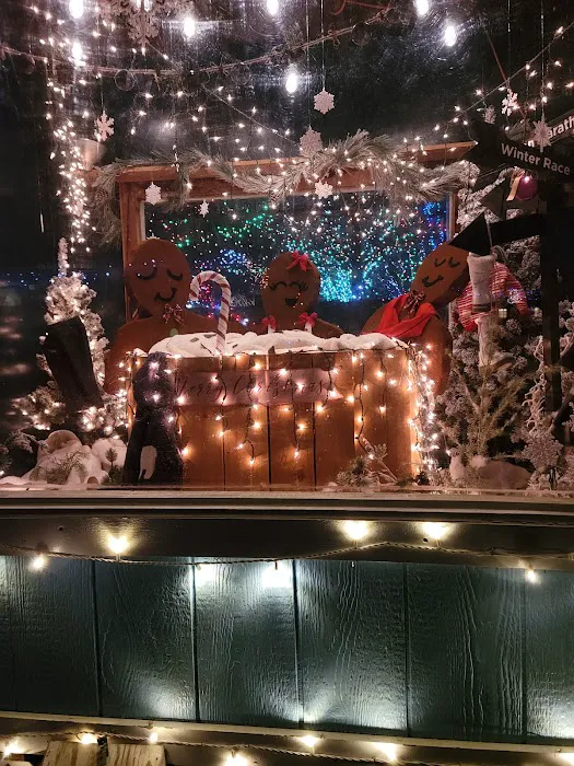 Christmas Village 5
