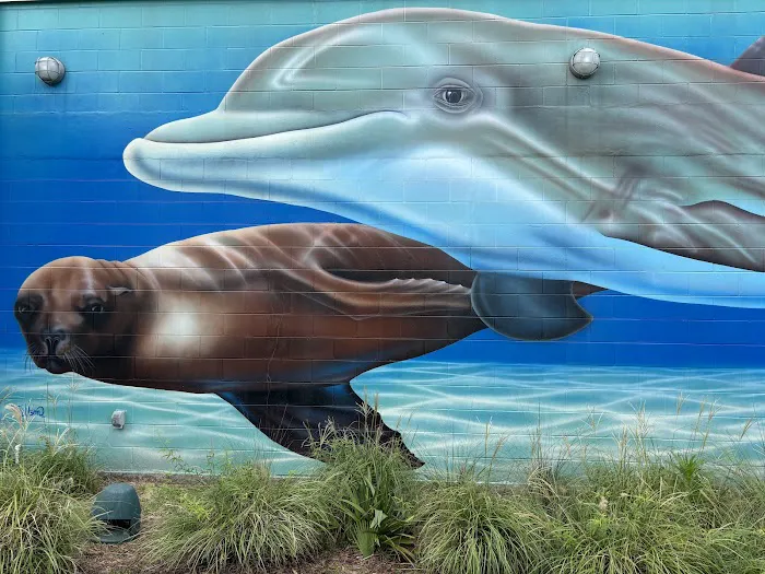 Ocean Adventures Marine Park 6
