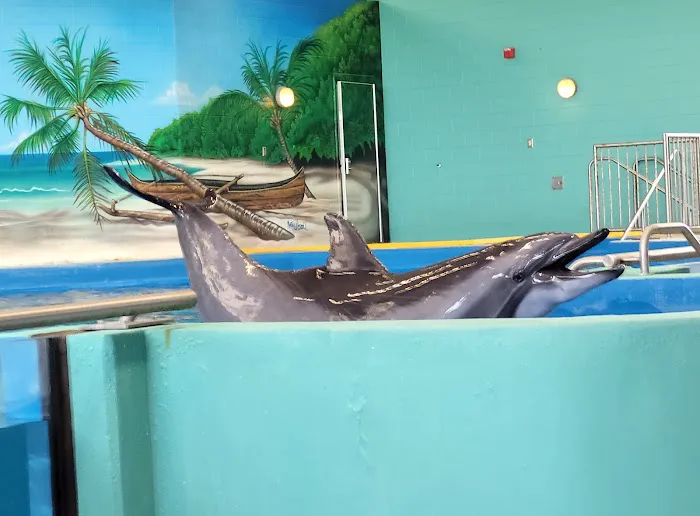 Ocean Adventures Marine Park 2