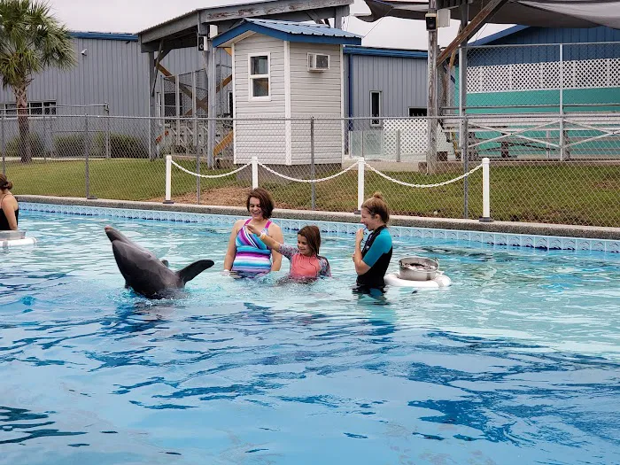 Ocean Adventures Marine Park 9