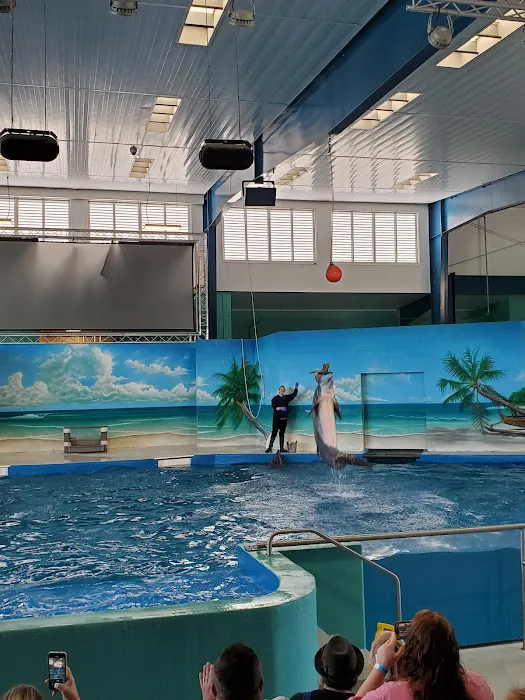 Ocean Adventures Marine Park 3