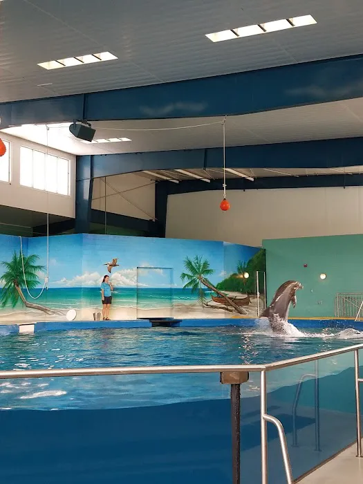 Ocean Adventures Marine Park 8