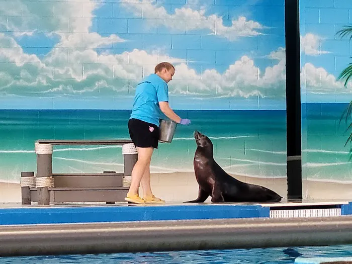 Ocean Adventures Marine Park 1