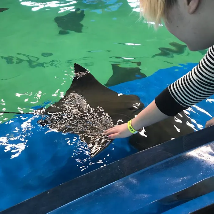 Ocean Adventures Marine Park 4