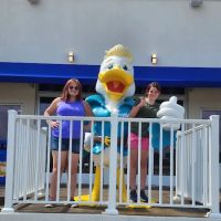 Paradise Pier Fun Park