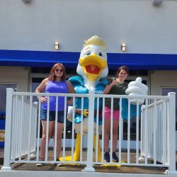 Paradise Pier Fun Park ico