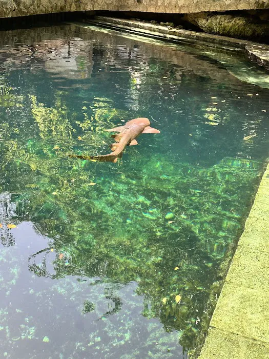 Kapolei Cooler 7