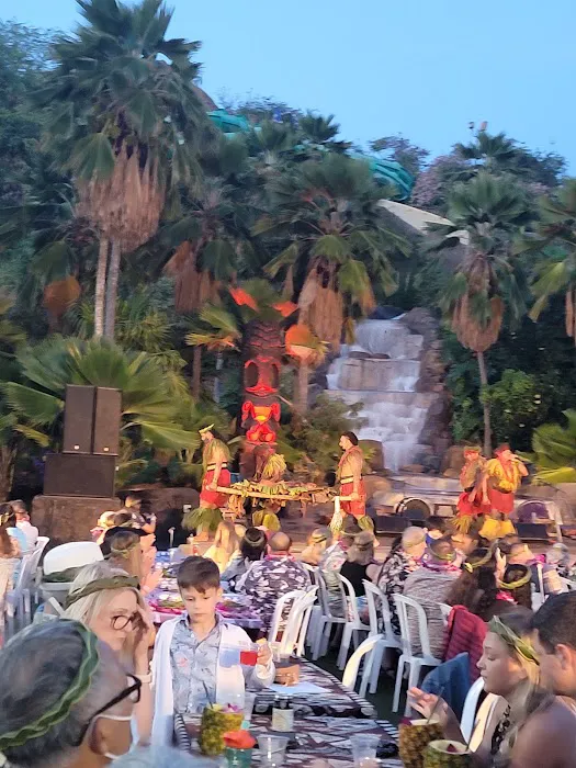 Wet 'n' Wild Hawaii 1