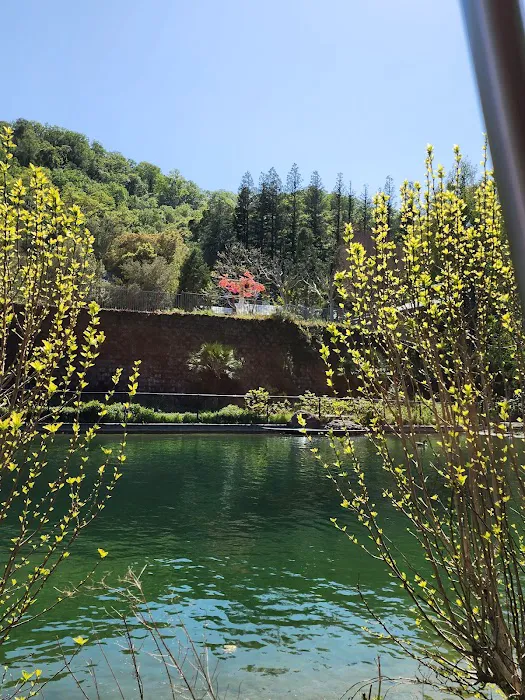 Rainbow Garden Round Boat Ride 9