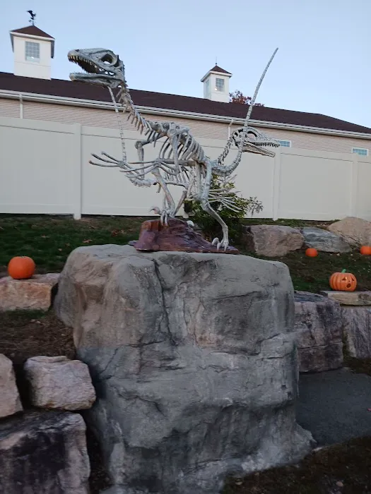 The Pumpkin Passage 0