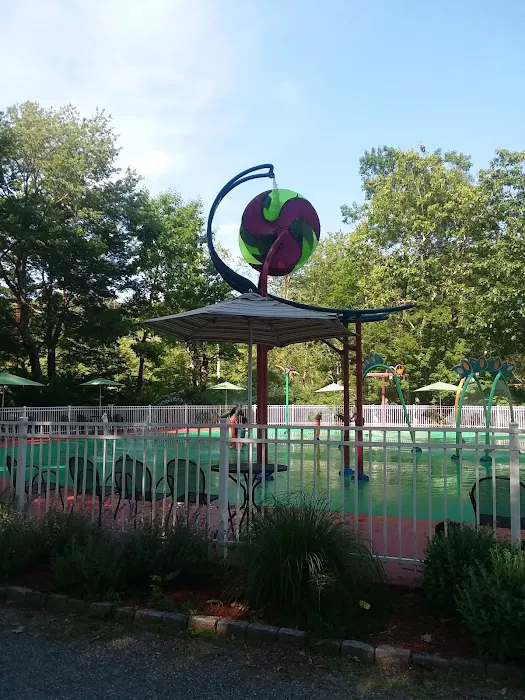 The Dinosaur Place 6