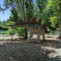 The Dinosaur Place
