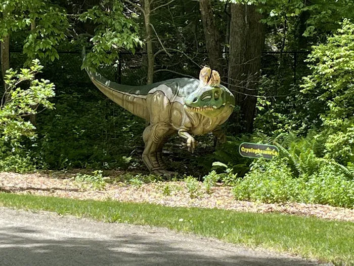 The Dinosaur Place 8