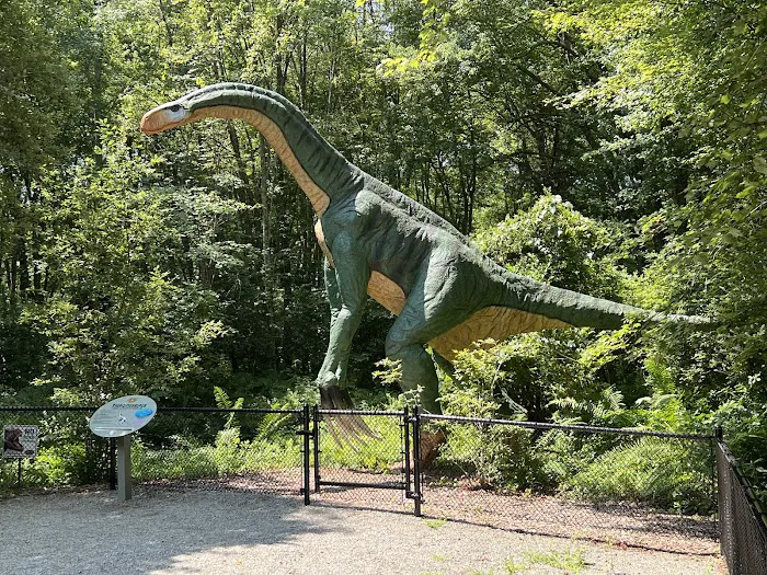 The Dinosaur Place 9