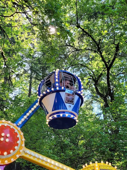 Enchanted Forest 8