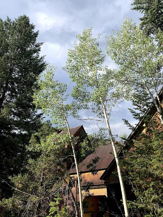 Stanley Mines Adventure Park 3