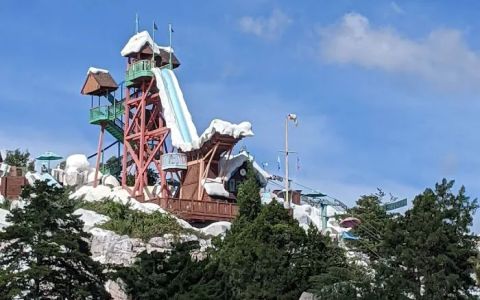 Disney's Blizzard Beach Water Park