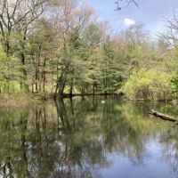 Pine Lake Adventure Park