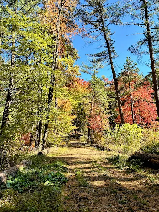 Pine Lake Adventure Park 8