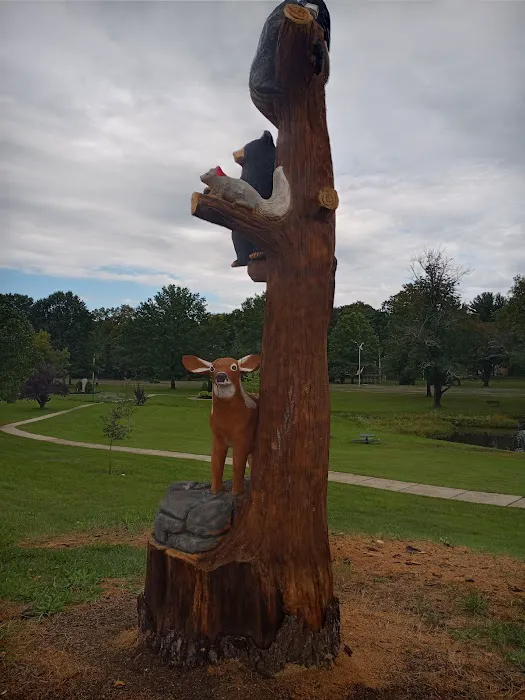 Pine Lake Adventure Park 5