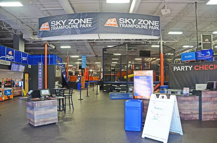 Sky Zone Fenton 1